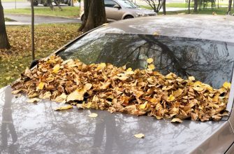 Что делать и куда обращаться, если машина пострадала во время урагана 6 Что делать и куда обращаться, если машина пострадала во время урагана