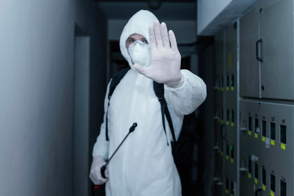 Что делать и куда пожаловаться, если в подъезде тараканы или крысы